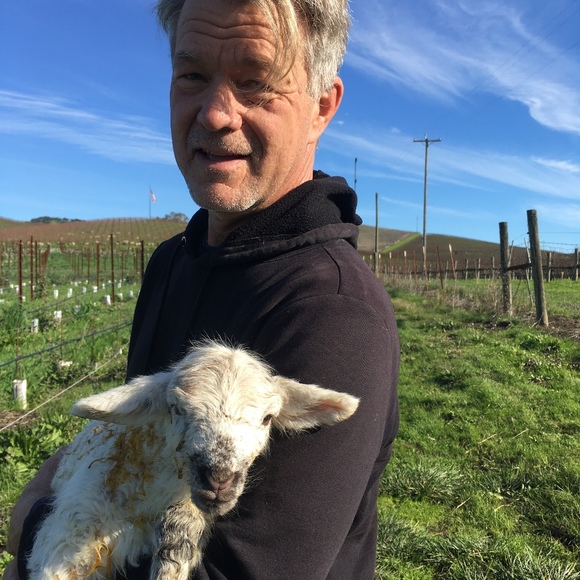 Meet your Posher, James - Picture 1 of 1